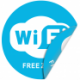  100  (Wi-Fi )
