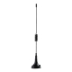 Proline JCG025 ()