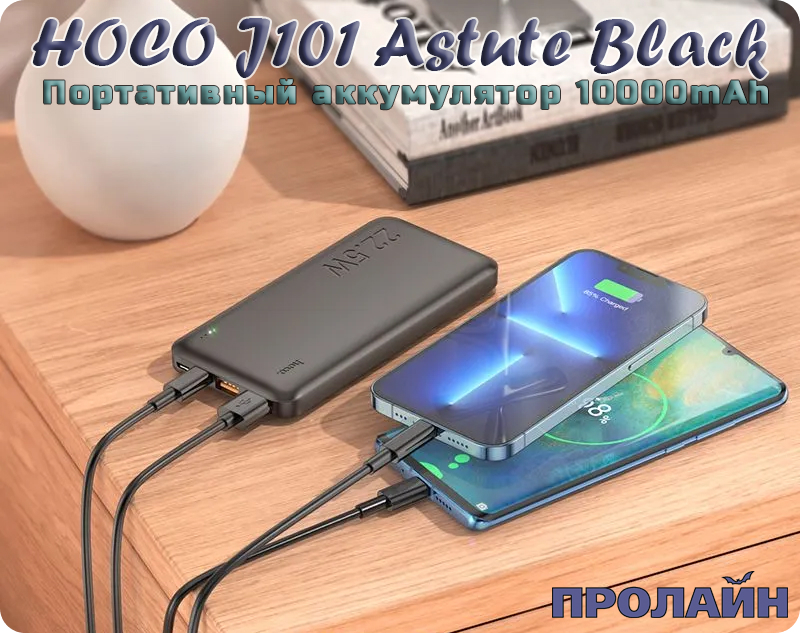Портативный аккумулятор HOCO J101 Astute Black 10000mAh