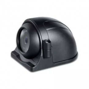 Proline PR-BS256D-4PIN