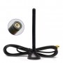 Proline JCG016