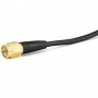 JCG025 ()
