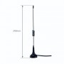 Proline JCG025 ()