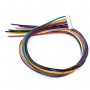 Proline T100P-EM