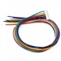 Proline F001M-EM