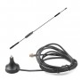 Proline JCG035 ()