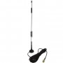 Proline JCG035 ()